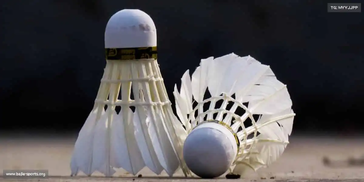 八戒体育——挑战自我,超越昨天的自己!✨